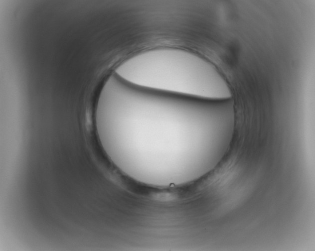 X0000112410358200908141030