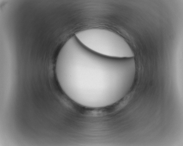 X0000112410366200908141030