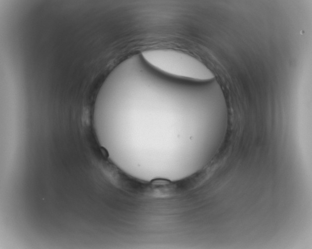 X0000112410368200908141030