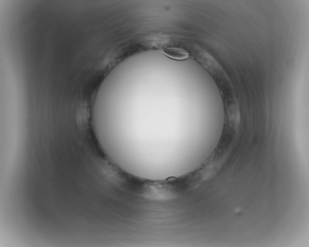 X0000112410372200908141030