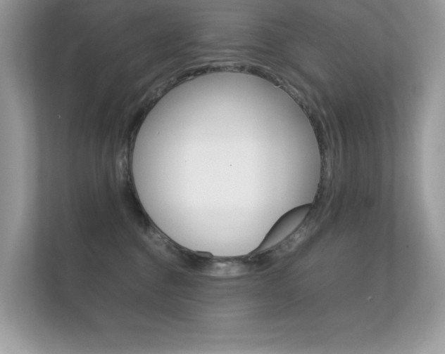 X0000112410376200908141030