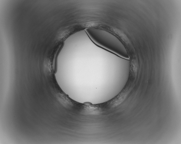 X0000112410380200908141030