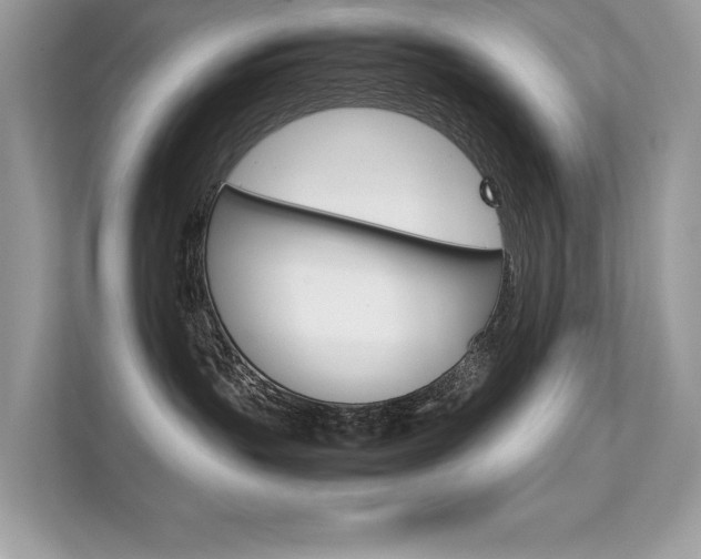 X0000112410383200908141030