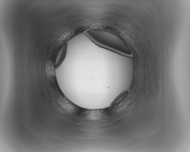 X0000112410384200908141030