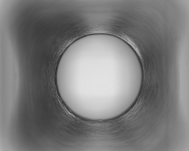 X0000112410385200908141030