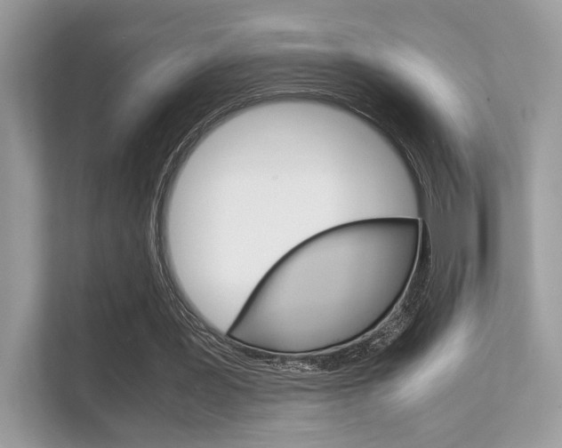 X0000112410387200908141030