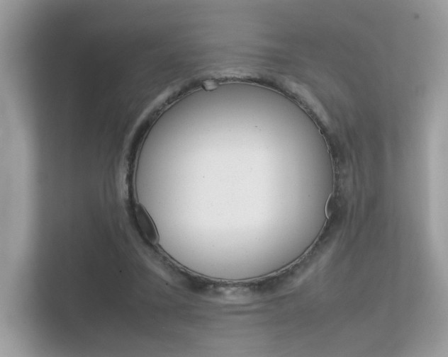 X0000112410395200908141030