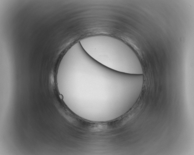 X0000112410398200908141030
