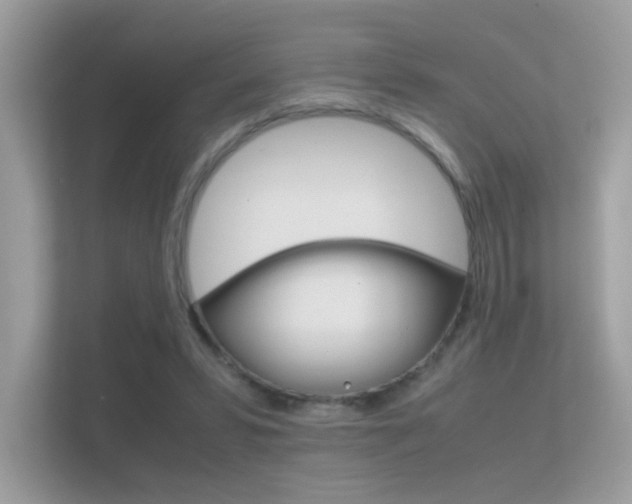 X0000112410399200908141029