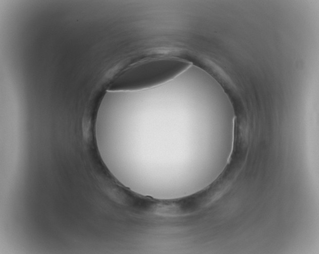 X0000112410403200908141029