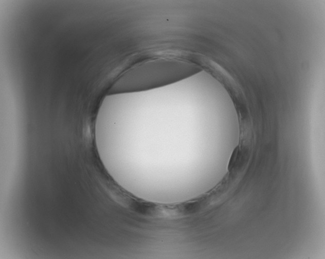 X0000112410405200908141029