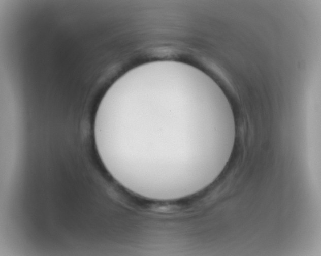 X0000112410407200908141029