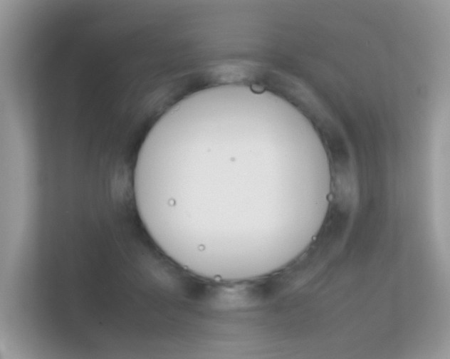 X0000112410411200908141029