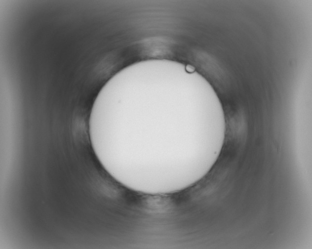 X0000112410415200908141029