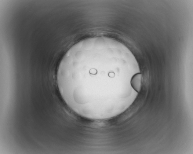 X0000112410418200908141029