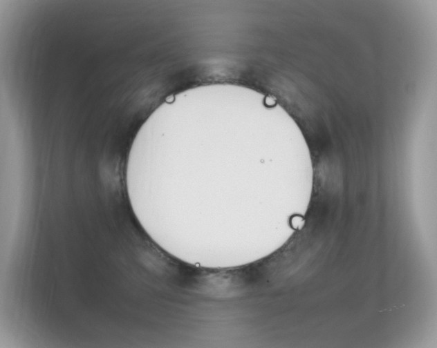 X0000112410423200908141029