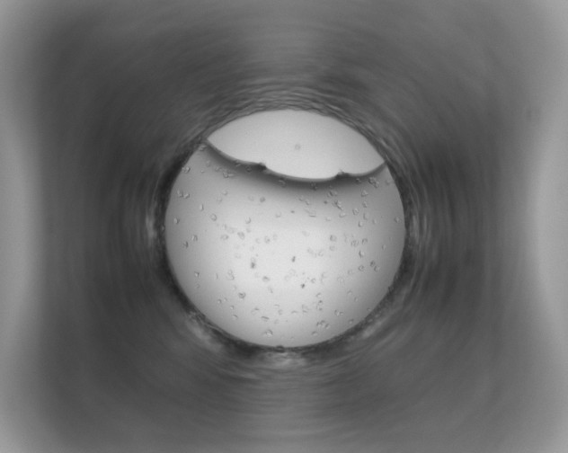 X0000112410424200908141029