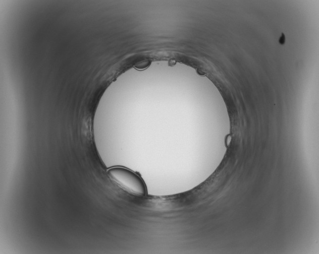 X0000112410425200908141029