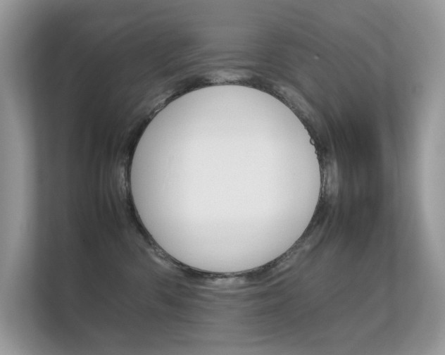 X0000112410426200908141029