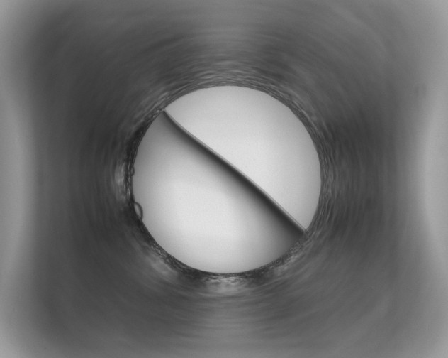 X0000112410428200908141029