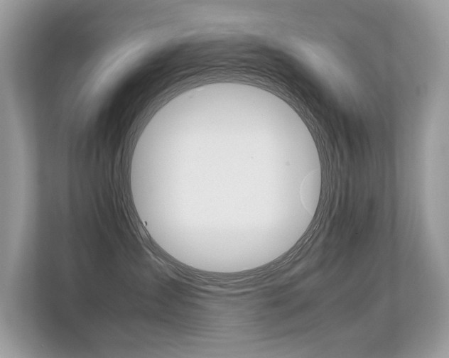 X0000112410431200908141029