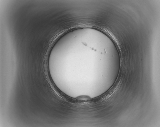 X0000112410433200908141028
