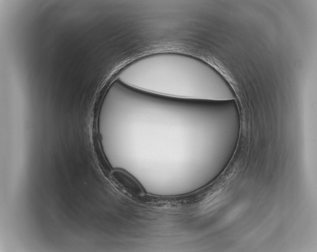 X0000112410434200908141028