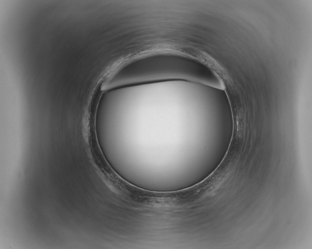 X0000112410436200908141028