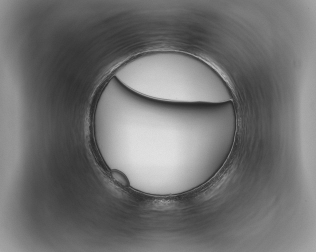 X0000112410437200908141028