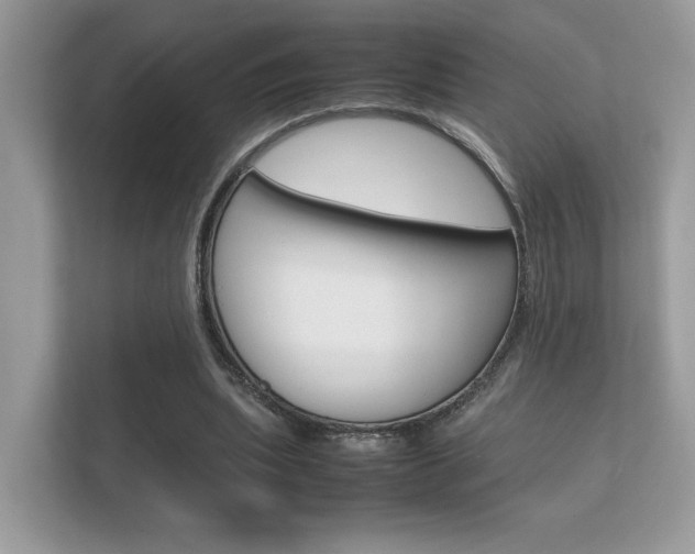 X0000112410439200908141029