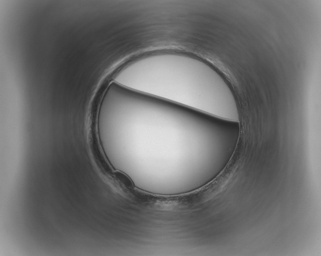 X0000112410440200908141029