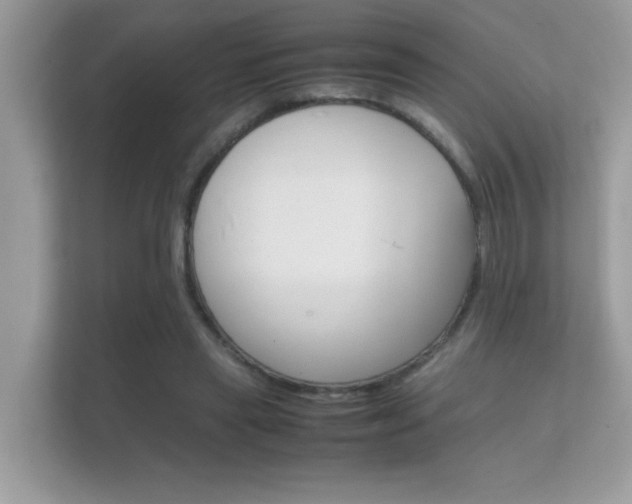 X0000112410445200908141029