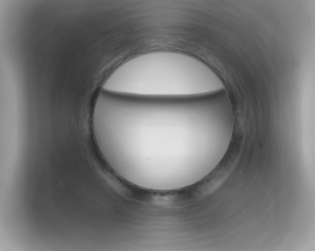 X0000112410450200908141029