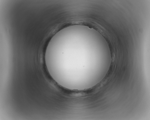 X0000112410452200908141029