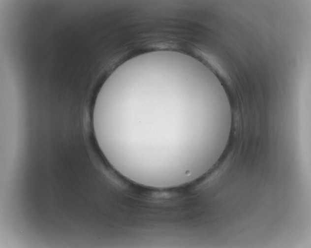 X0000112410453200908141029