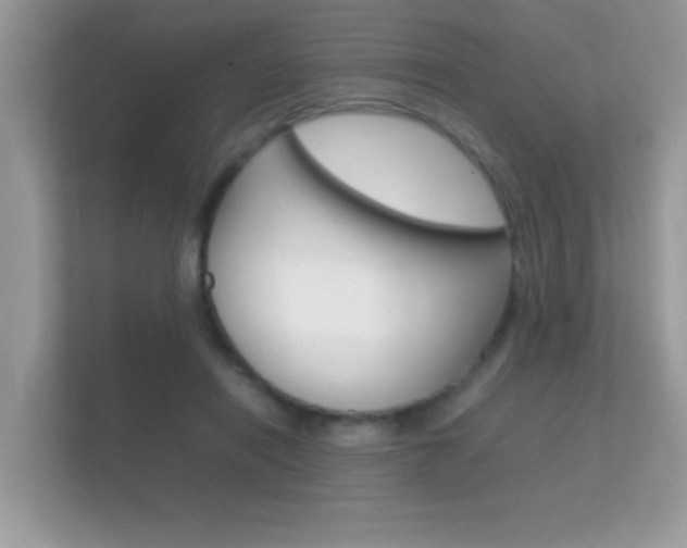 X0000112410454200908141029