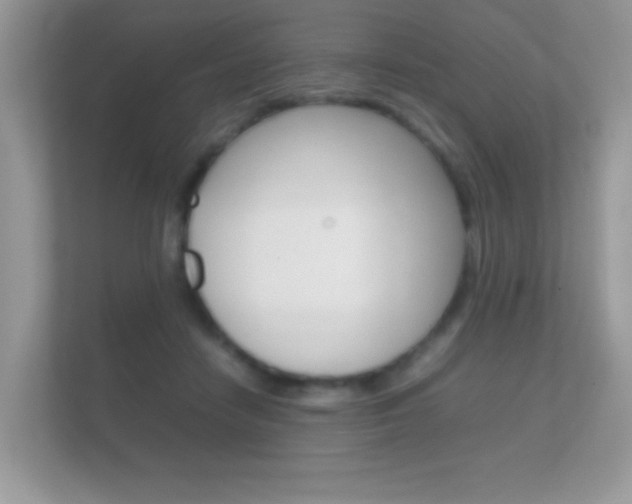 X0000112410458200908141029