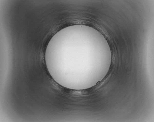 X0000112410473200908141029