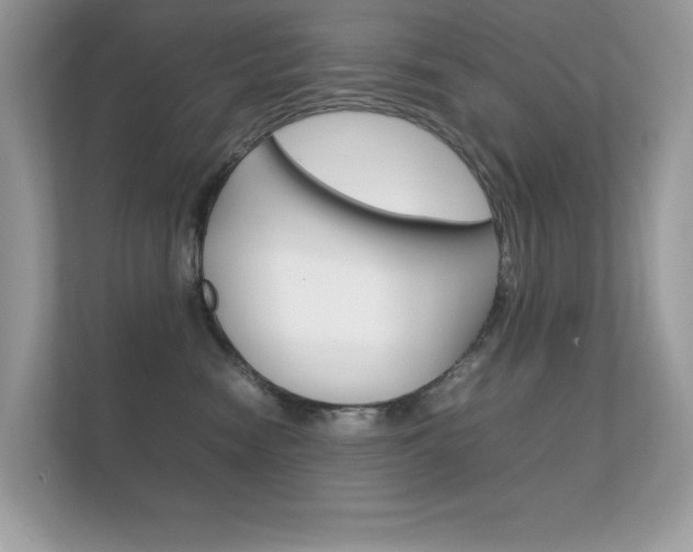 X0000112410474200908141029