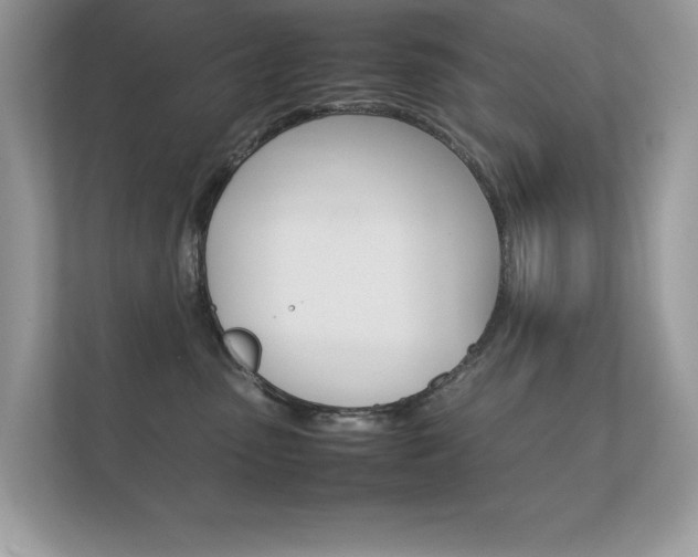 X0000112410475200908141029