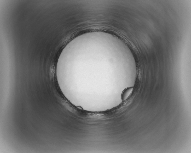 X0000112410476200908141029