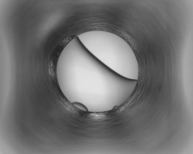 X0000112410477200908141029