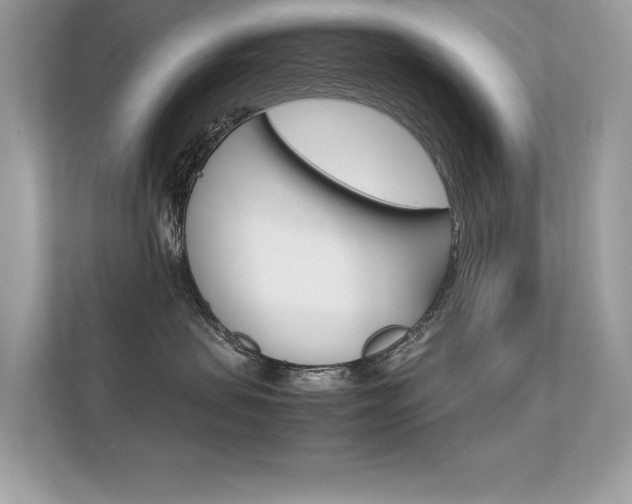X0000112410479200908141029