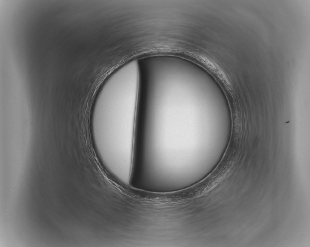 X0000112410481200908141028