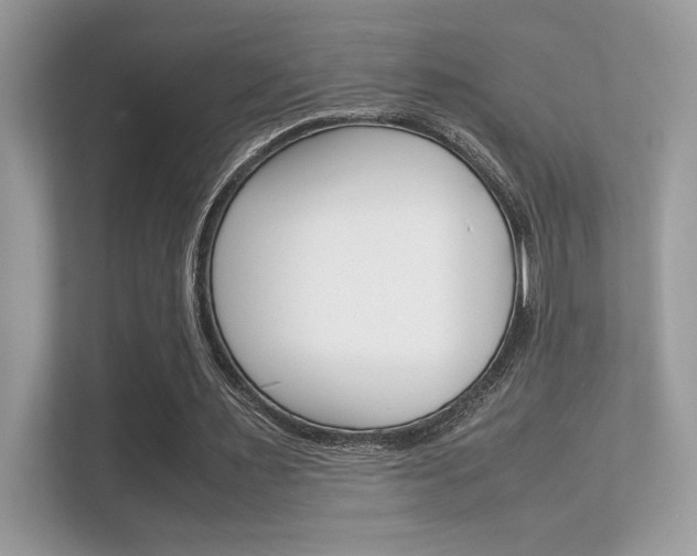 X0000112410483200908141028