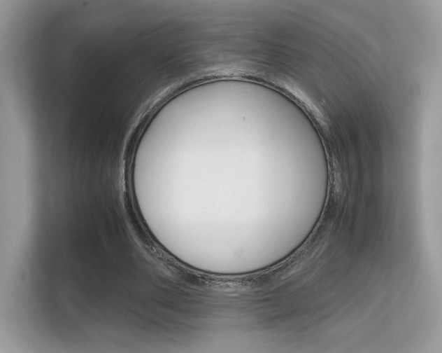 X0000112410486200908141028