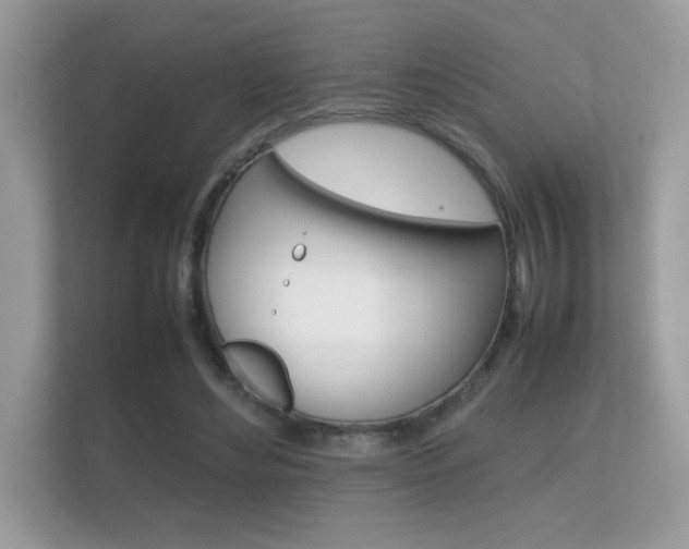 X0000112410492200908141028