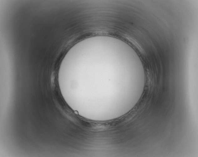 X0000112410494200908141028