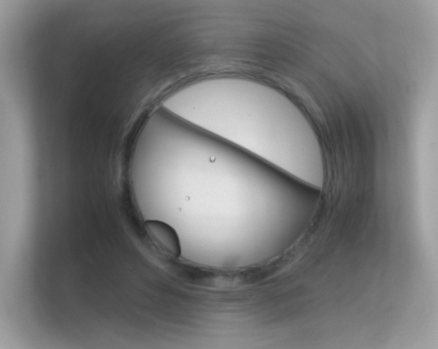 X0000112410496200908141028
