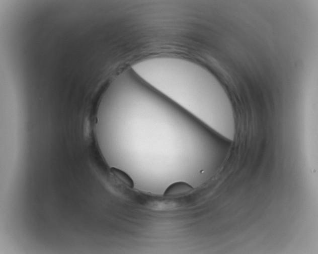 X0000112410500200908141028